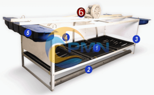 Biocleaner (2)